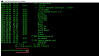 計算機信息統(tǒng)計與信息技術(shù)開發(fā)指南